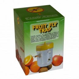 Piège à mouches des fruits (lot de 12), piège à mouches efficace pour une  utilisation en intérieur, Attrape-mouches et piège à moucherons pour  cuisine et salle à manger